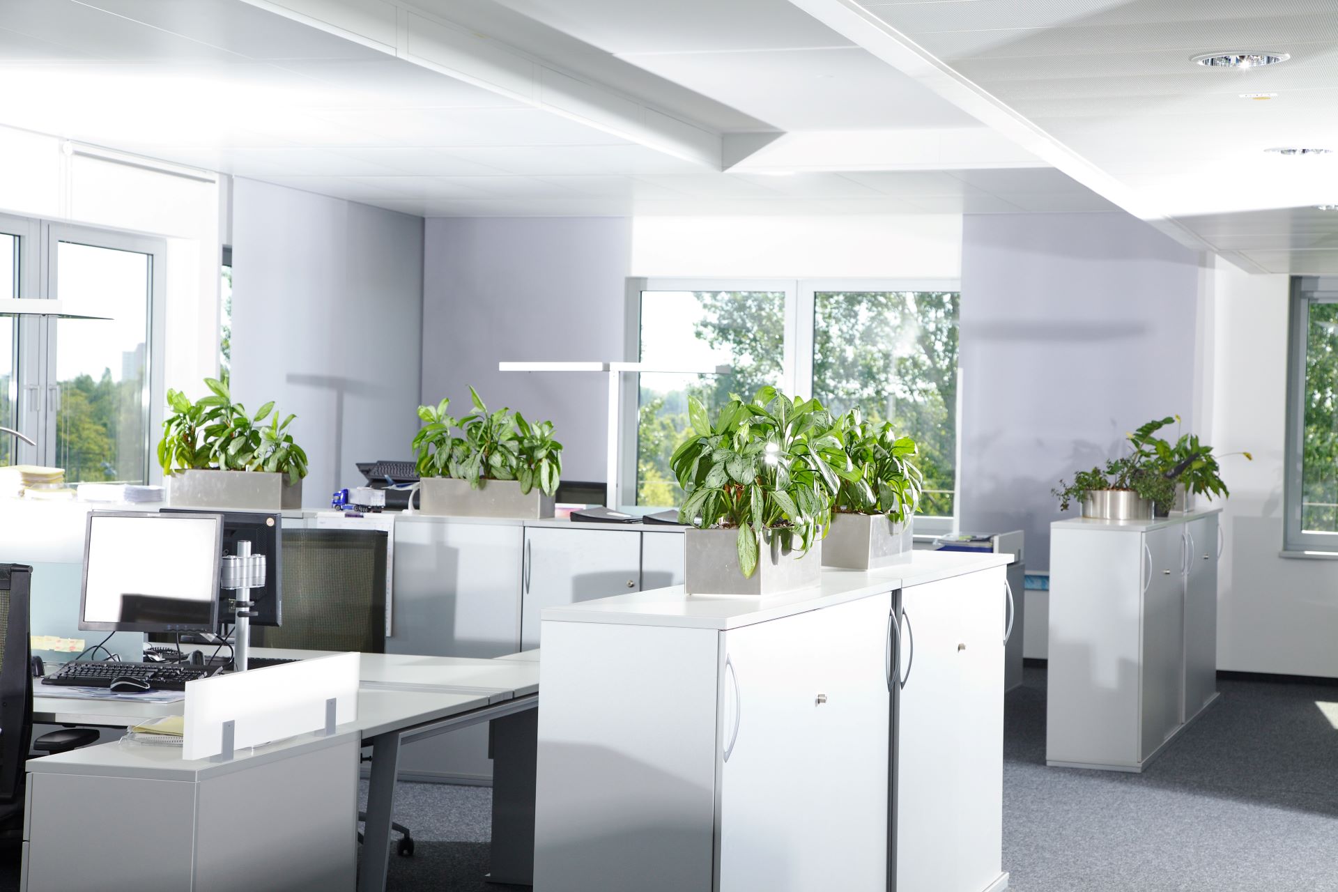 Resume Writing Services Camden Park NSW